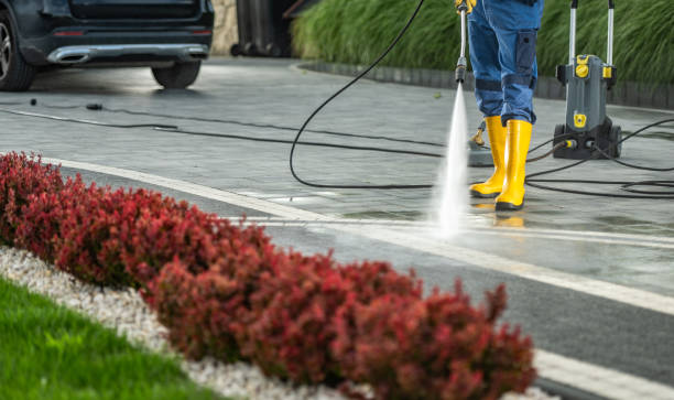 Best Sidewalk Pressure Washing  in Cannon Af, NM